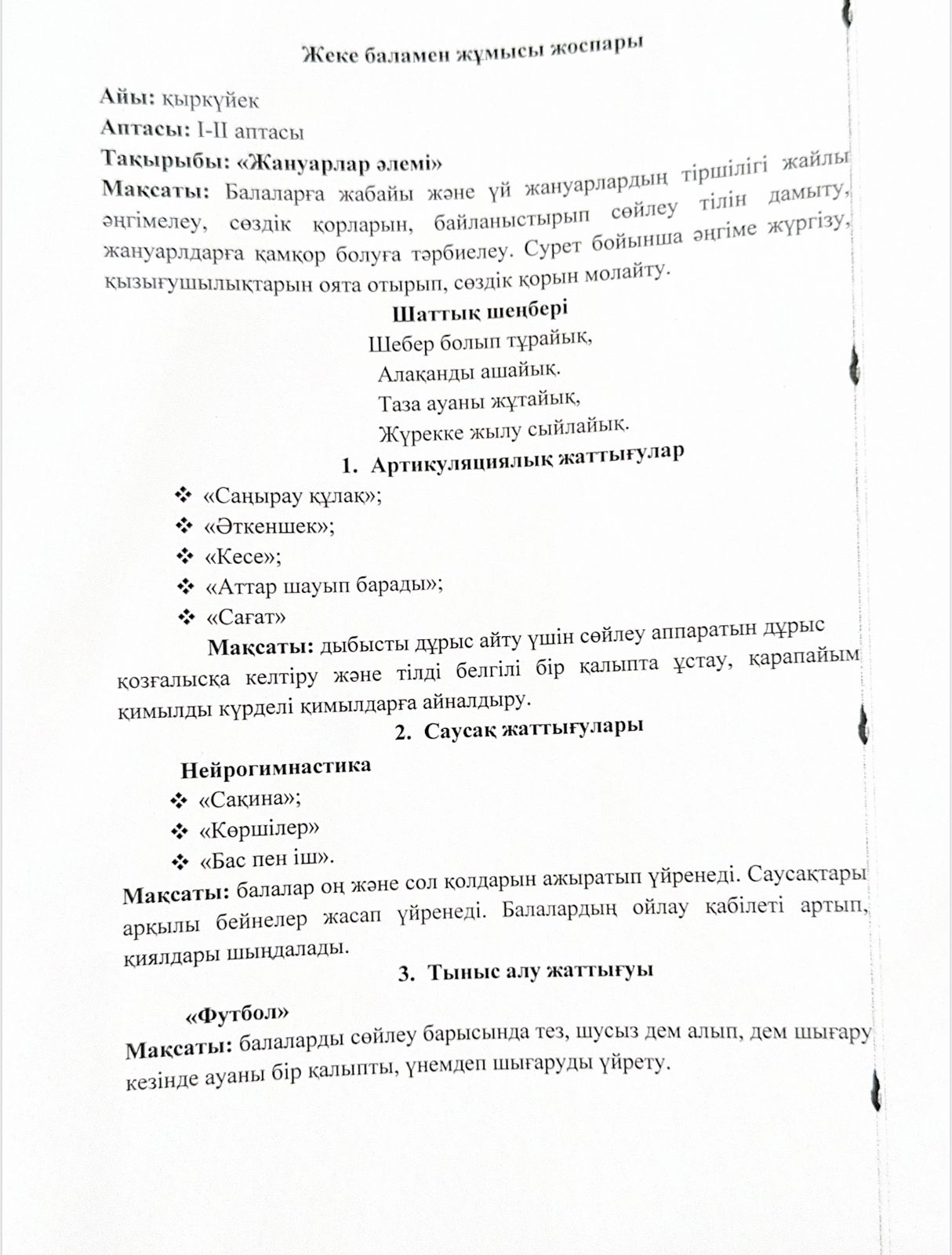 Логопедтің жеке баламен жұмыс жоспары